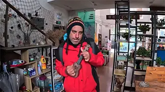 Beyond The Trip